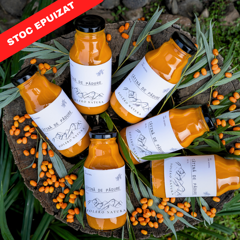 Suc Cătină De Pădure (12 buc)