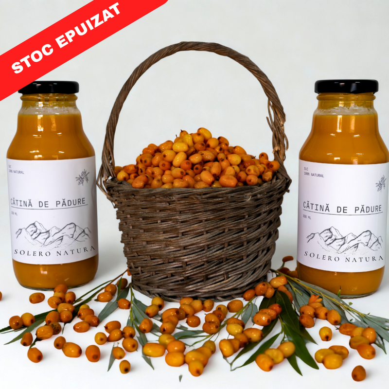 Suc Cătină De Pădure (24 buc)