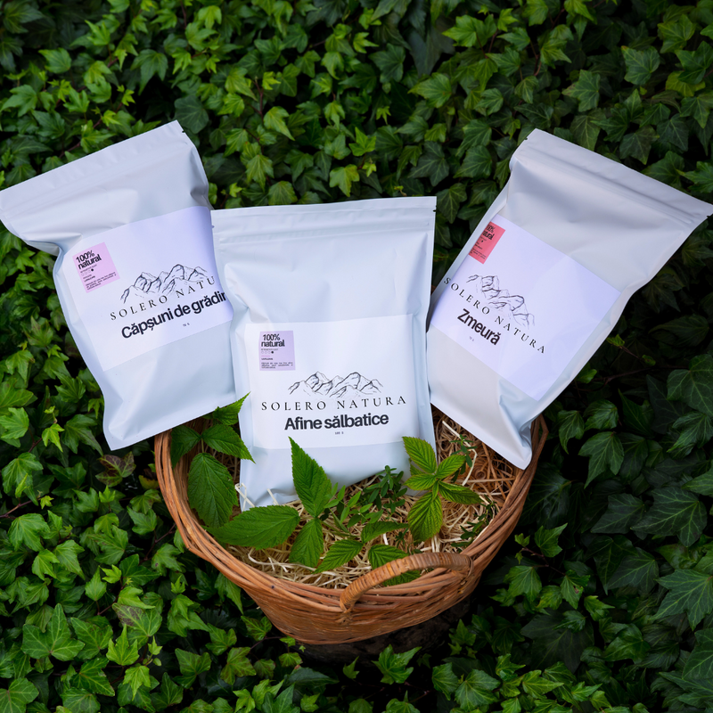 Pachet Fructe Liofilizate